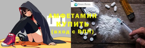твердый Горняк