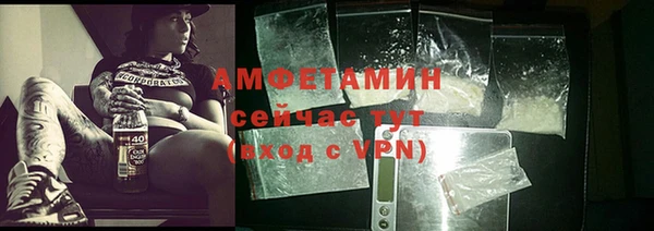 твердый Горняк
