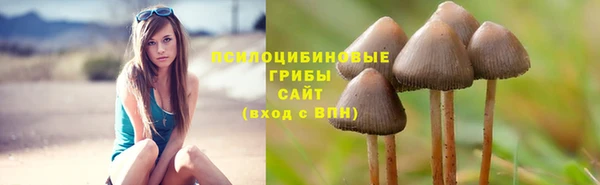прущий лед Горно-Алтайск
