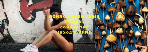 твердый Горняк