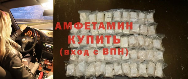 твердый Горняк