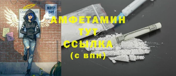твердый Горняк