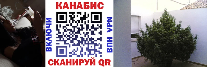 Марихуана White Widow  мориарти телеграм  Гороховец 